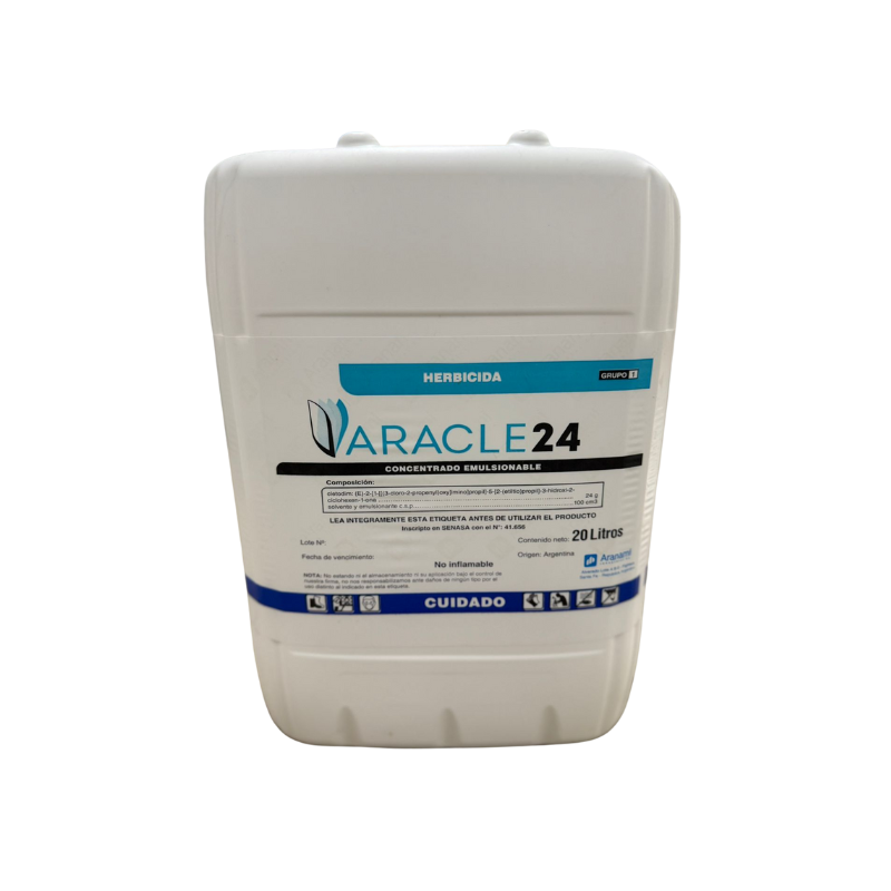 ARACLE 24